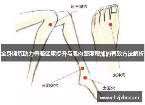 全身锻炼助力骨骼健康提升与肌肉密度增加的有效方法解析