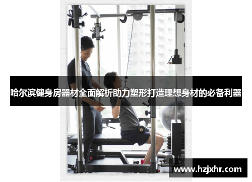 哈尔滨健身房器材全面解析助力塑形打造理想身材的必备利器